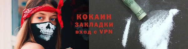 стаф Сосновый Бор