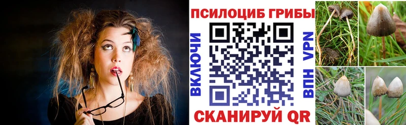 дарнет шоп  Заполярный  ссылка на мегу как войти  Галлюциногенные грибы прущие грибы 